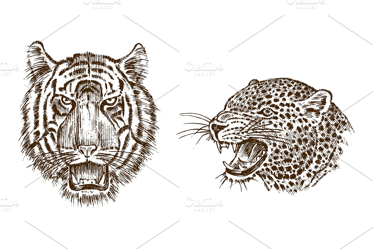 Japanese Wild Tiger and animal in Illustrations - product preview 8
