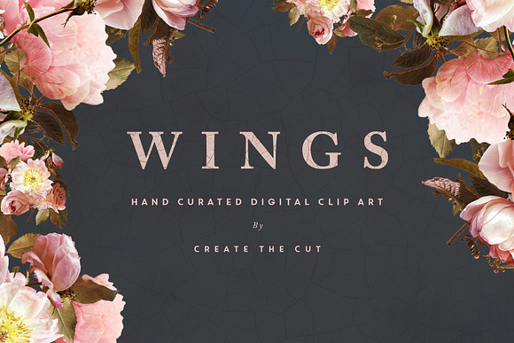 Digital Flower Clip Art - Wings in Illustrations - product preview 1