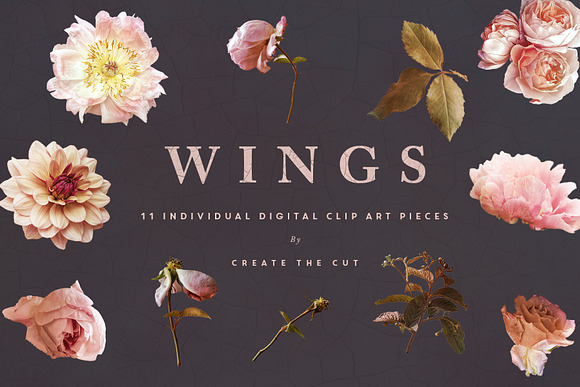 Digital Flower Clip Art - Wings in Illustrations - product preview 4