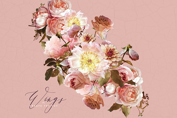 Digital Flower Clip Art - Wings in Illustrations - product preview 5