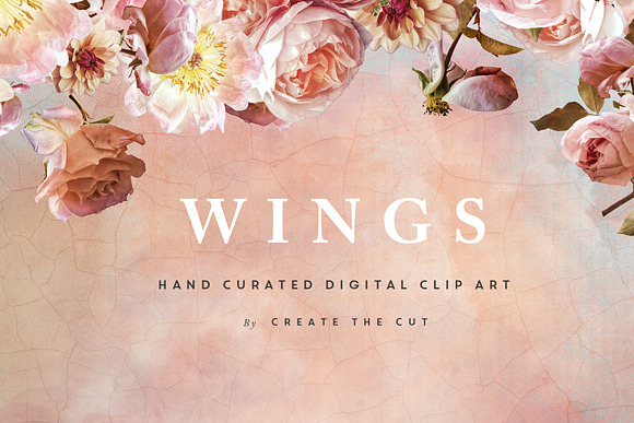 Digital Flower Clip Art - Wings in Illustrations - product preview 6