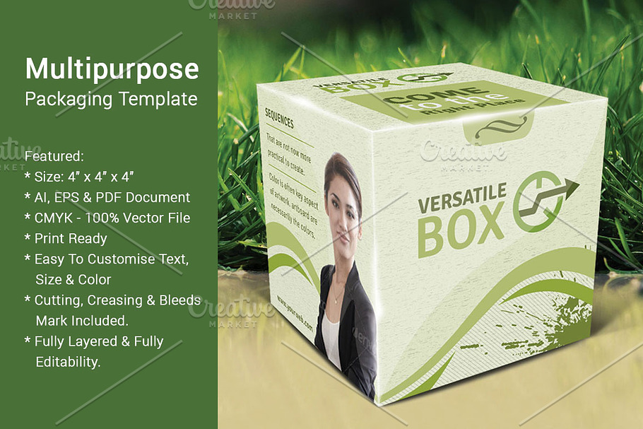 Multipurpose Packaging Template in Templates - product preview 8