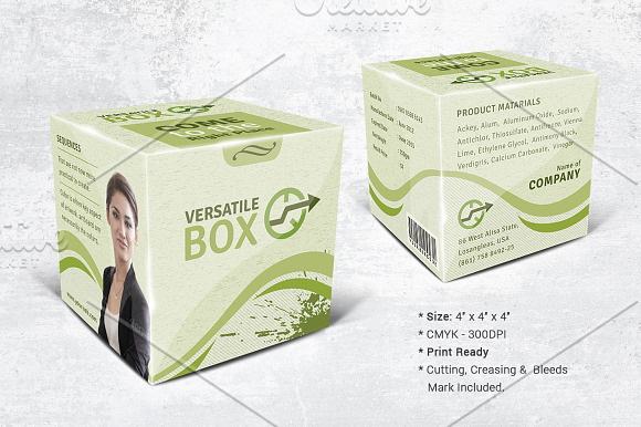 Multipurpose Packaging Template in Templates - product preview 2