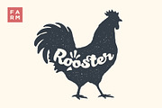 Rooster. Lettering, typography