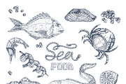 Seafood Monochrome Sketches Set