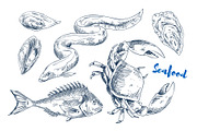 Different Marine Animals as Seafood