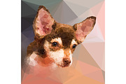 Low poly portrait of chihuahu
