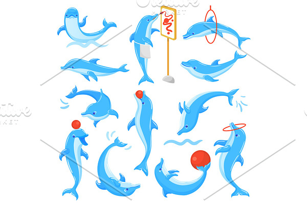 Dolphin vector seafish character