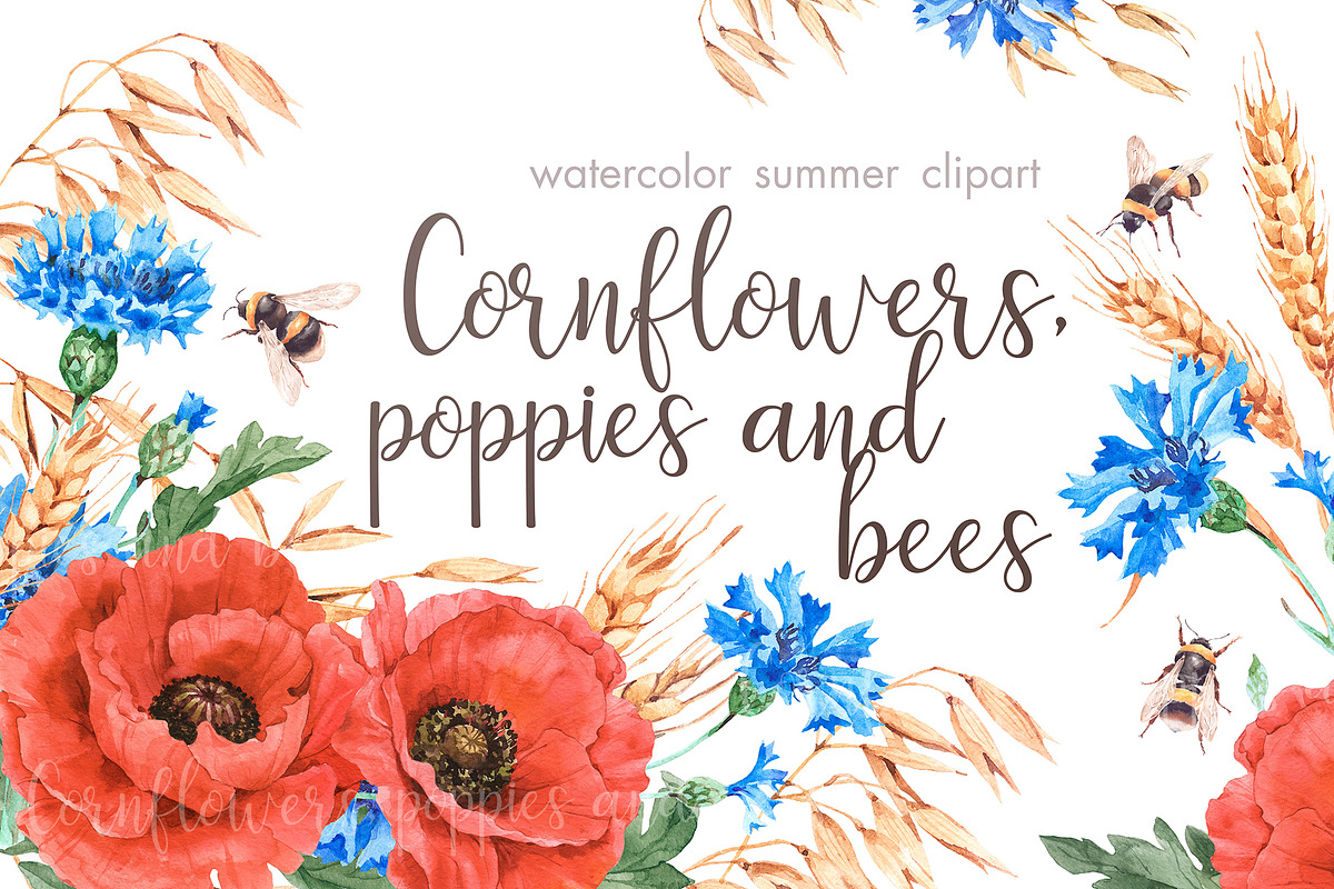 Watercolor poppies, cornflowers set in Illustrations - product preview 8