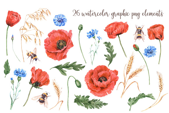 Watercolor poppies, cornflowers set in Illustrations - product preview 2