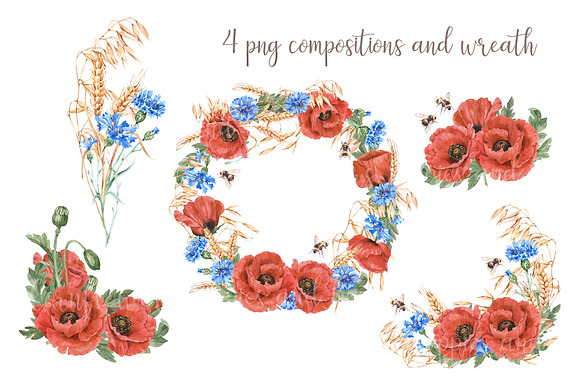 Watercolor poppies, cornflowers set in Illustrations - product preview 3