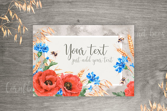 Watercolor poppies, cornflowers set in Illustrations - product preview 6