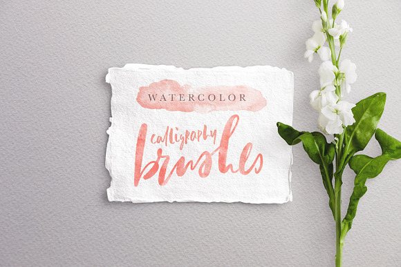 10 Watercolor Calligraphy Brushes in Photoshop Brushes - product preview 9