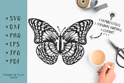 Delicate Butterfly - Wedding SVG