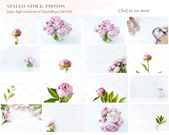 Peony Styled Stock Photo Bundle  in Social Media Templates - product preview 1