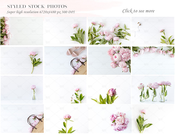 Peony Styled Stock Photo Bundle  in Social Media Templates - product preview 2
