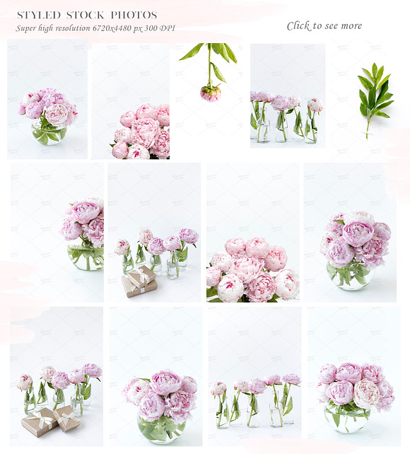 Peony Styled Stock Photo Bundle  in Social Media Templates - product preview 3