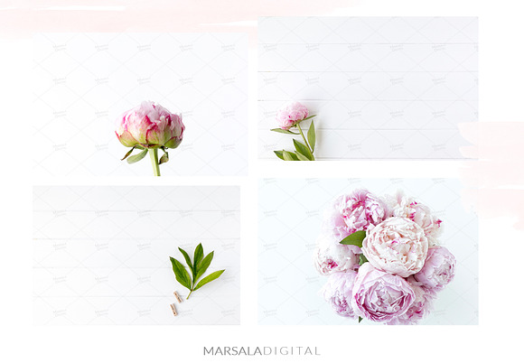 Peony Styled Stock Photo Bundle  in Social Media Templates - product preview 6