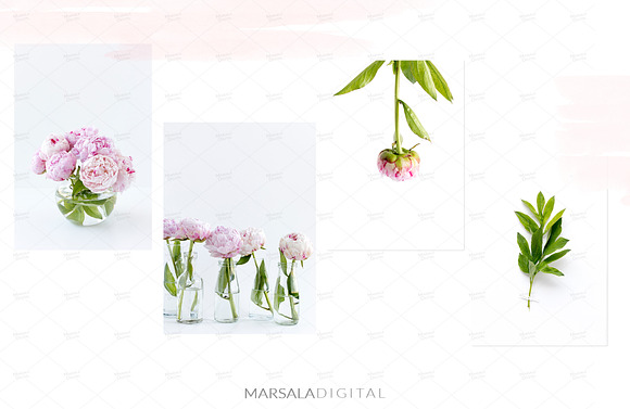 Peony Styled Stock Photo Bundle  in Social Media Templates - product preview 10