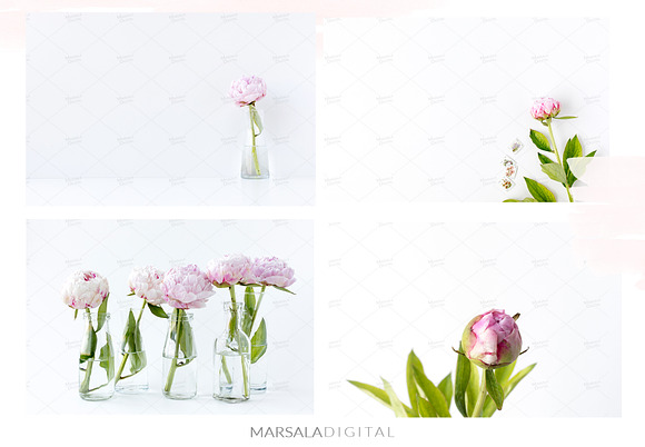 Peony Styled Stock Photo Bundle  in Social Media Templates - product preview 12