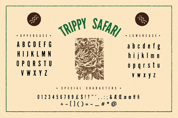 Trippy Safari Font & Illustrations in Display Fonts - product preview 2