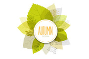 Autumn background with leaves. 