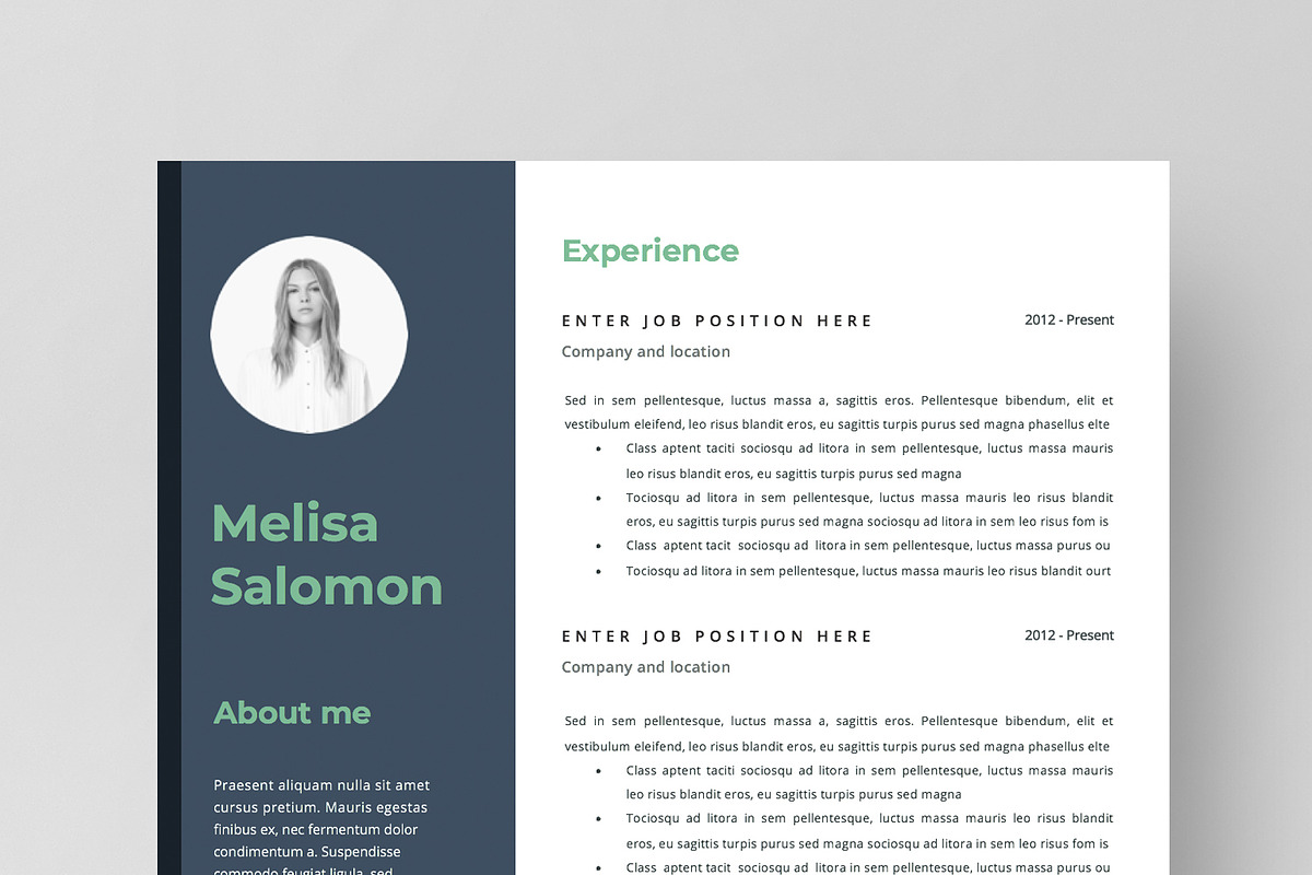Resume Template 2 page | Budapest in Resume Templates - product preview 8