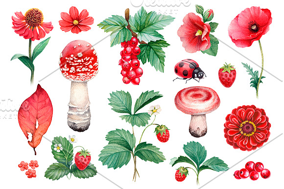 Red summer nature illustrations kit in Illustrations - product preview 1