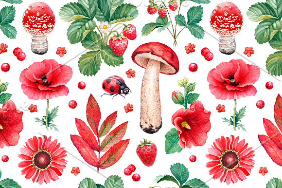 Red summer nature illustrations kit in Illustrations - product preview 4