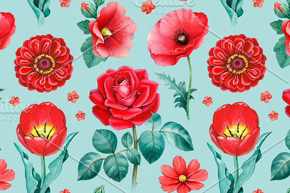 Red summer nature illustrations kit in Illustrations - product preview 5