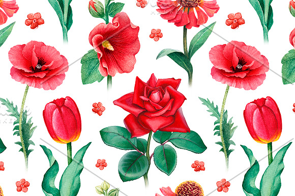 Red summer nature illustrations kit in Illustrations - product preview 6