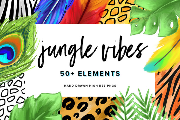 Jungle Vibes | Hand Drawn Elements