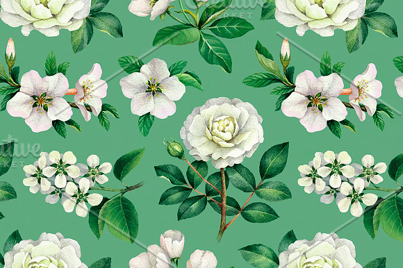 White summer nature illustrations in Illustrations - product preview 2