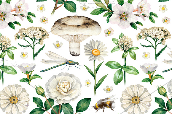 White summer nature illustrations in Illustrations - product preview 3