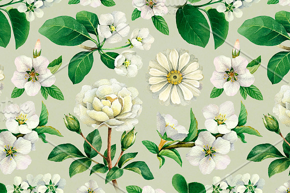 White summer nature illustrations in Illustrations - product preview 4