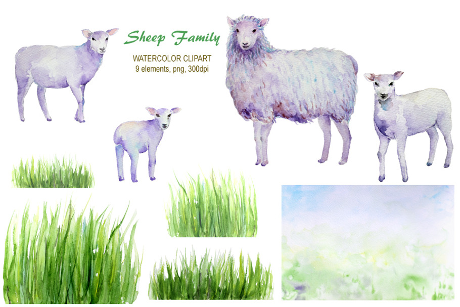 Watercolor Sheep and Lambs