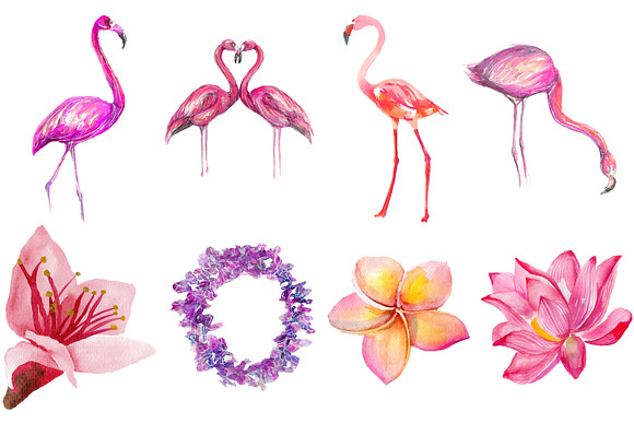 Flamingo Themed Watercolor Clipart  in Illustrations - product preview 2
