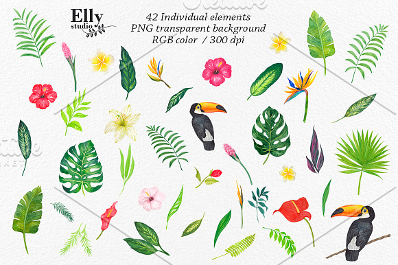 Watercolor Tropical Clip Art in Illustrations - product preview 6