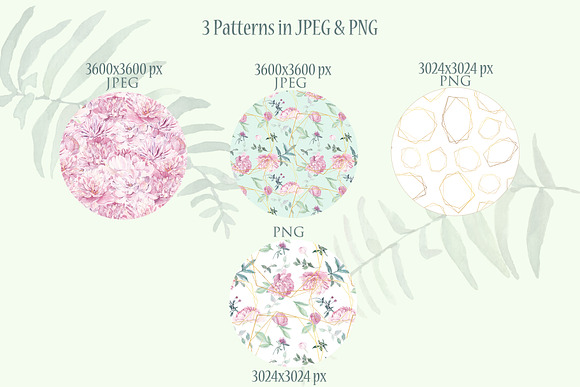 Peonies Clipart Watercolor Set in Illustrations - product preview 3
