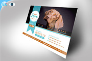 Animal Care Flyer (11x8.5 and 6x4)
