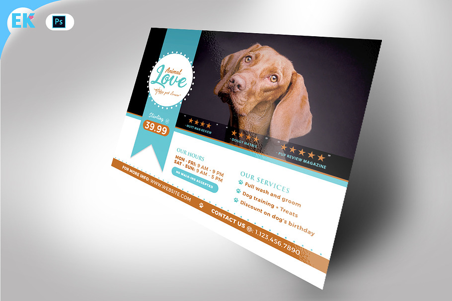Animal Care Flyer (11x8.5 and 6x4) in Flyer Templates - product preview 8