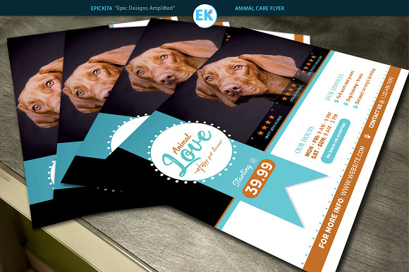 Animal Care Flyer (11x8.5 and 6x4) in Flyer Templates - product preview 1