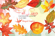 Fall Leaves:Autumn Leaf Illustration