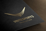 Letter V - Vintesports Logo