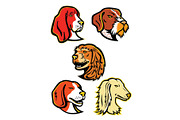 Hound Dogs Mascot Collection