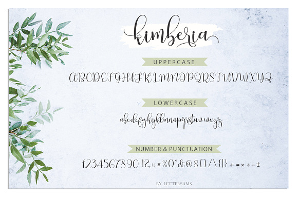Kimberia Script in Script Fonts - product preview 8