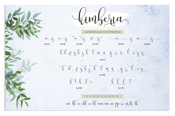 Kimberia Script in Script Fonts - product preview 9