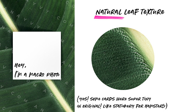 Palm Leaves | Urban Jungle Mockup in Print Mockups - product preview 2