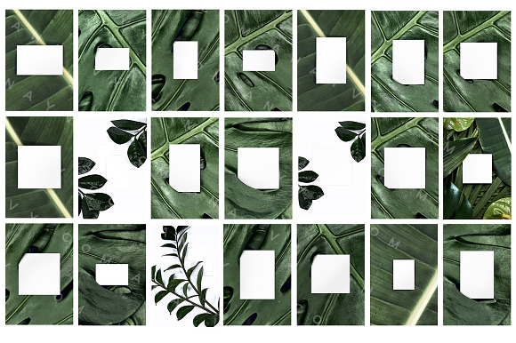 Palm Leaves | Urban Jungle Mockup in Print Mockups - product preview 3