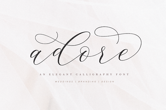 Adore Calligraphy Font in Website Fonts - product preview 10